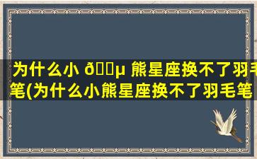 为什么小 🐵 熊星座换不了羽毛笔(为什么小熊星座换不了羽毛笔的颜色)